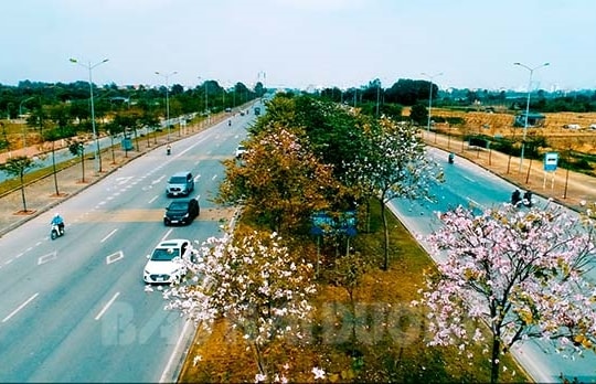 Ba con phố kéo dài